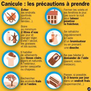 web_fil-canicule-01